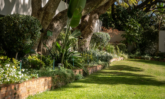 How Tap Timers Help You Stay Water-Wise During Water Restrictions